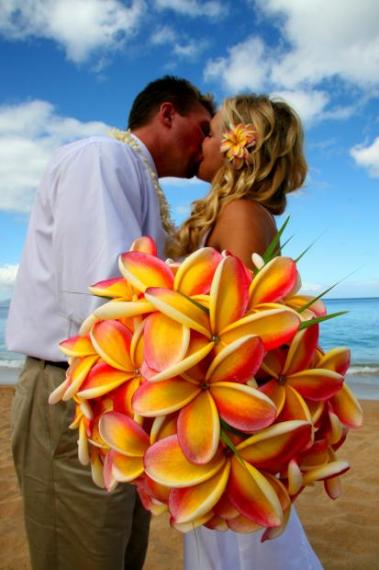 Option4<br>Happy Maui レインボープルメリア・ブーケ