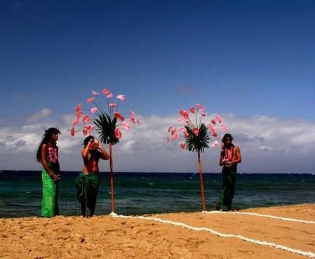 Option11<br>Happy Maui Wedding カヒリ