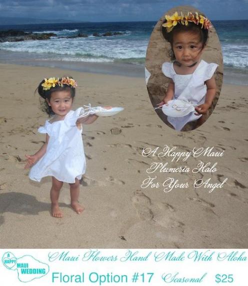 Option18<br>Happy Maui ハロ