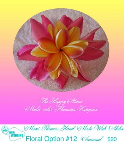 Option5<br>Happy Maui プルメリア・ヘア・ピース